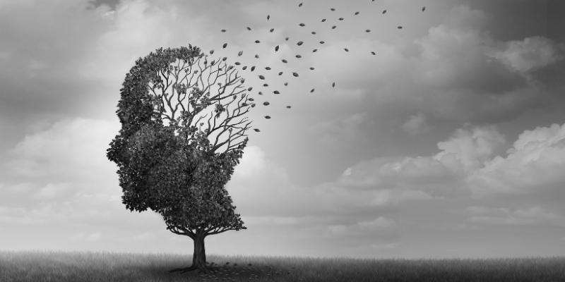 Gli effetti del Ginko Biloba nel trattamento dell'ictus, del morbo di Alzheimer e altri disturbi cognitivi